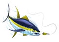 Yellowfin Tuna Fish in Fast Motion Catching the Bait Royalty Free Stock Photo