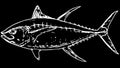 Yellowfin tuna fish fishing illustration on black background