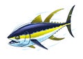 Yellowfin Tuna Fish Hand Drawn Illustration in Fast Motion Royalty Free Stock Photo