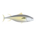 Yellowfin tuna fish mockup, realistic style