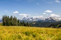 View of Mt Shuksan over alpine meadows of Skyline Divide