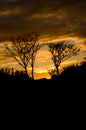 yellowish sunset in autumn of sertao baiano