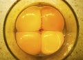 Egg yolks Royalty Free Stock Photo