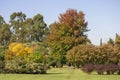 Yellows, reds and ochres in a sunny autumn park