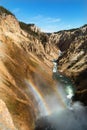 Yellowstone canyon, river, landscape.Wyoming, USA Royalty Free Stock Photo