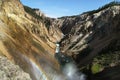 Yellowstone canyon, river, waterfall. Royalty Free Stock Photo