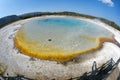 Yellowstone colorful hot pool Geyser Old Faithful Royalty Free Stock Photo