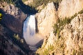 Yellowstone Falls In Yellowstone National Park