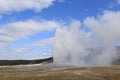 Yellowstone gazer 