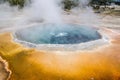 Yellowstone Geyser Royalty Free Stock Photo