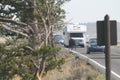 Yellowstone Grand Tetons Bison stopping traffic