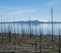 Yellowstone Lake with Dead Trees from Forest Fire in Foreground Royalty Free Stock Photo