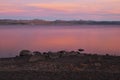 Yellowstone Lake At Dusk