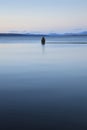 Yellowstone Lake Royalty Free Stock Photo