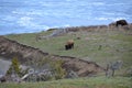 Yellowstone Lake National Park Grandure Royalty Free Stock Photo