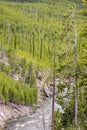 Yellowstone lake river and forest - Yellowstone National Park Royalty Free Stock Photo