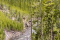 Yellowstone lake river and forest - Yellowstone National Park Royalty Free Stock Photo