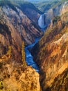 Yellowstone lower falls Royalty Free Stock Photo