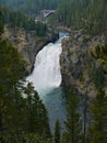 Yellowstone Lower Falls Royalty Free Stock Photo