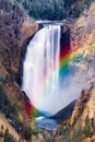 Yellowstone Lower Falls Royalty Free Stock Photo