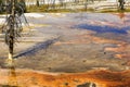 Yellowstone N P Geothermal Area Scene Royalty Free Stock Photo