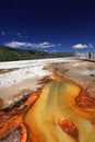 Yellowstone National Park Royalty Free Stock Photo