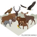 Yellowstone National Park animals.