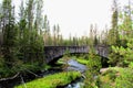 Yellowstone National Park Beautiful Bridge with rocks and moss and woodlands gorgeous colors Royalty Free Stock Photo