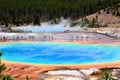 Yellowstone National Park Beautiful geothermal Texture