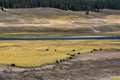 Yellowstone National Park Royalty Free Stock Photo