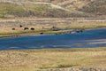 Yellowstone National Park Royalty Free Stock Photo