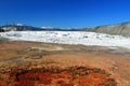 Yellowstone National Park with Canary Spring at Upper Terraces, Mammoth Hot Springs, Wyoming Royalty Free Stock Photo