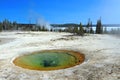 Yellowstone National Park with Colorful Hot Spring at West Thumb Geyser Basin on Yellowstone Lake, Wyoming, USA Royalty Free Stock Photo