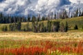 Yellowstone National Park