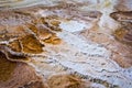 Yellowstone national park hot spring Royalty Free Stock Photo