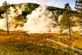 Yellowstone National Park Hydrothermal Area