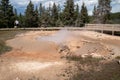 Tourists illegaly bring their pet dog on the boardwalks through the thermal geyser area