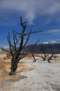 Yellowstone national Park 5 Royalty Free Stock Photo