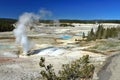 Yellowstone National Park, Norris Geyser Basin with Black Growler Vent, Wyoming, USA Royalty Free Stock Photo