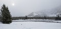 Yellowstone National Park obscured by snow