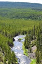 Yellowstone National Park River Running Through Forest