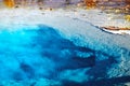 Yellowstone National Park: Thermal Pool