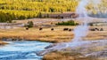 Yellowstone National Park Upper Geyser Basin. Royalty Free Stock Photo