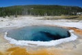 Yellowstone National Park, USA Royalty Free Stock Photo