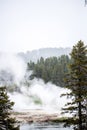 Yellowstone National Park - Volcanic Steam Landscape