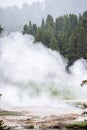 Yellowstone National Park - Volcanic Steam Landscape