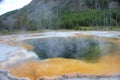 Yellowstone National Park on a sunny day