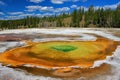 Yellowstone National Park on a sunny day