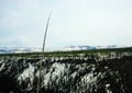 Yellowstone National Park, Wyoming Montana. Great hiking. Summer wonderland to watch wildlife and natural landscape. Geothermal. Royalty Free Stock Photo