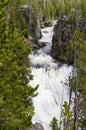 Yellowstone National Park, Wyoming, USA Royalty Free Stock Photo